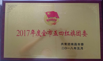 2017ȫĺί